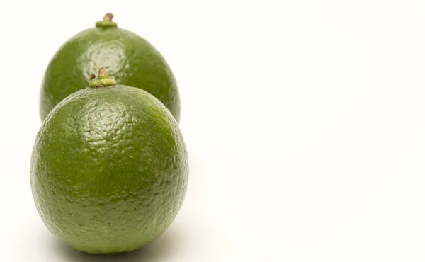 Limes geïsoleerd op een witte achtergrond — Stockfoto