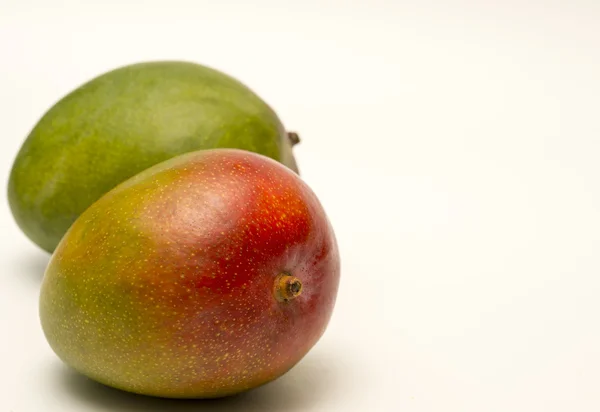Na białym tle na białym tle owoc mango — Zdjęcie stockowe