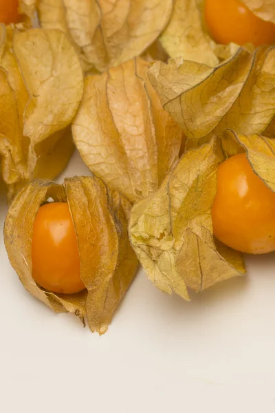 Physalis fruits isolated on a white background — Stock Photo, Image