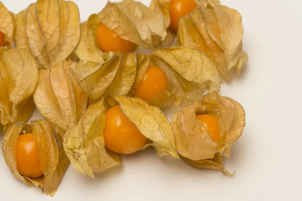 Physalis vruchten geïsoleerd op een witte achtergrond — Stockfoto