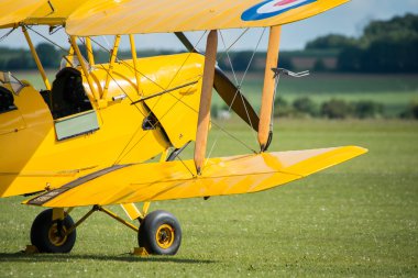 Tiger Moth