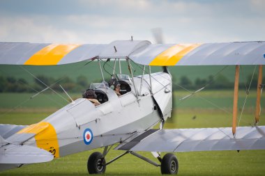 Tiger Moth