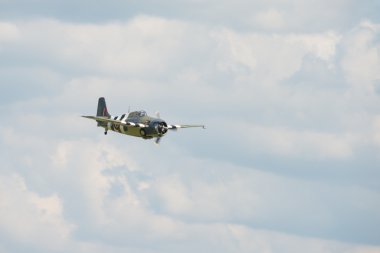 Grumman yaban kedisi uçak