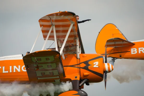 Breitling skrzydło pieszych — Zdjęcie stockowe