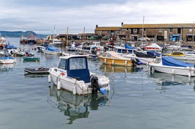 Lyme Regis, İngiltere - 19 Haziran 2021: Lyme Regis limanı manzarası, Güney İngiltere