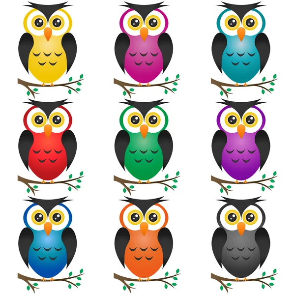 Büyük Gözlü Baykuşlar