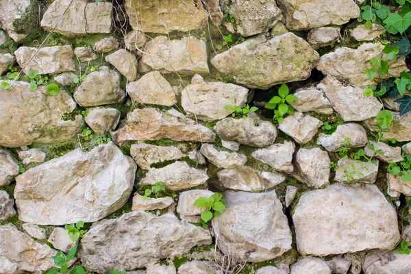 Sfondo di un muro di pietra — Foto Stock