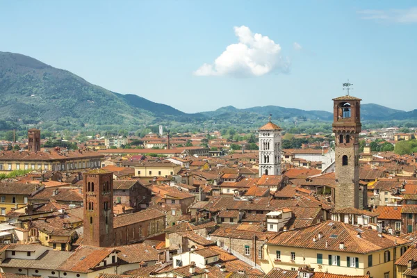 Stad centrum van lucca — Stockfoto