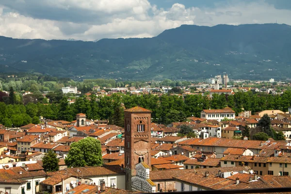 Stadtzentrum von Lucca — Stockfoto