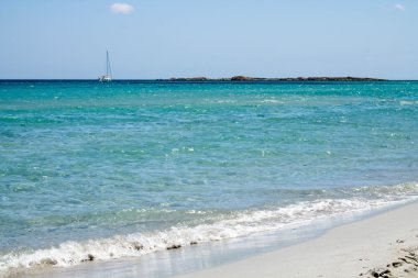 Sardunya deniz kıyısı