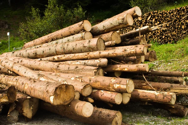 Woodpile Świeżo Ściętego Drewna — Zdjęcie stockowe
