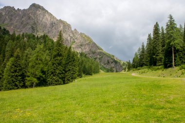 montains Yeşil Vadi