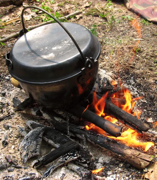 Olla en el fogón en el bosque. — Foto de stock © Valentyn_Volkov #78514322