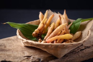 Taze Kaempferia ya da parmak kökü, organik bitkisel bitkiler fitil kimyasal ve tıbbi özellikler, Tayland yemeklerinde besin maddeleri