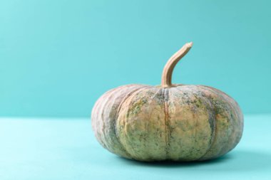 Açık mavi arka planda organik Asya balkabağı