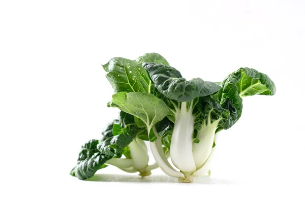 Frischer Weißer Bio Bok Choy Oder Pak Choi Chinakohl Auf — Stockfoto