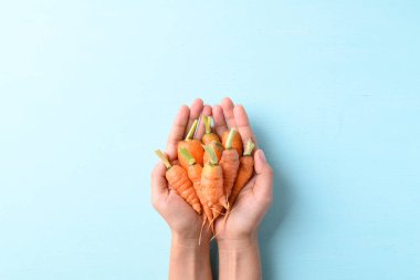 Açık mavi zemin üzerinde organik havuçlar, kusurlu şekiller, yiyecek eğilimi