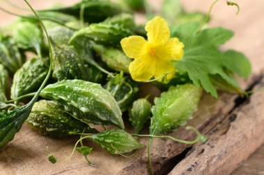 Küçük acı kabak ya da ahşap zemin üzerinde acı kavun, gıda malzemeleri ve bitkisel ilaç