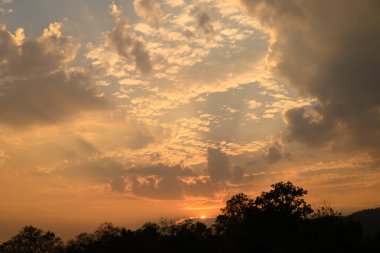 Gün batımından önce ağaçların üzerinde bulutlu ve güneşli vanilyalı gökyüzü, doğal arka plan