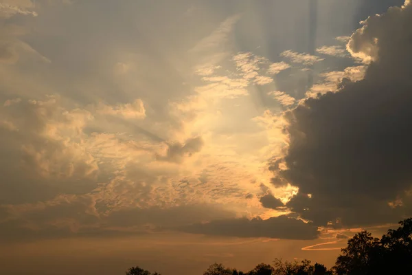 Vanillehimmel Mit Wolken Und Sonnenlicht Über Bäumen Vor Sonnenuntergang Natürlicher — Stockfoto