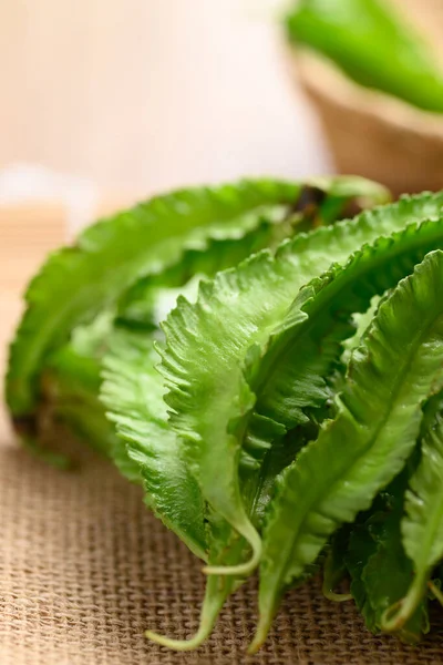 Close Green Winged Bean Organic Vegetables — Stock Photo, Image