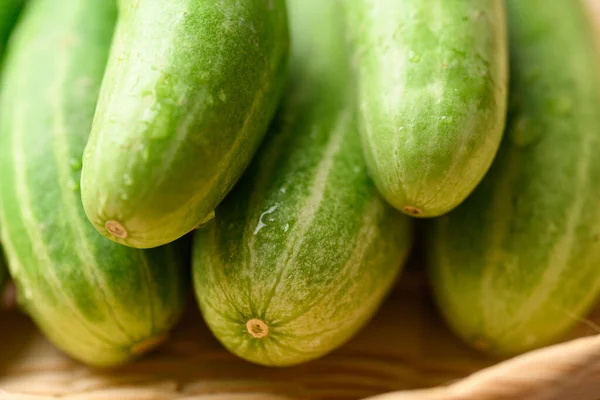 Close Fresh Cucumber Basket Organic Vegetables — Stock Photo, Image