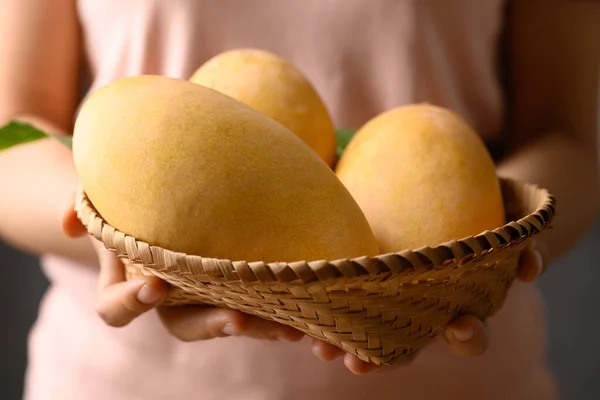 Thai Mango Fruit Nam Dok Mai Basket Holding Hand Tropical — Fotografia de Stock