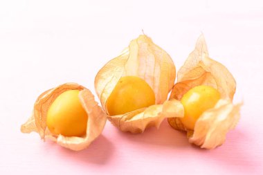 Pembe arka planda Cape bektaşi üzümü (Physalis peruviana)
