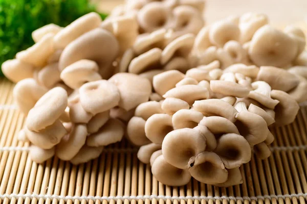 Fresh Oyster mushroom, Edible mushroom, Organic food ingredient