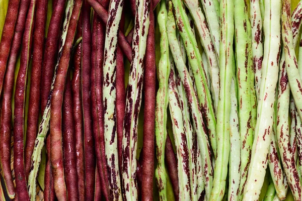 Yardlong Bean Various Colors Organic Local Farmer Market Vegetables Texture — Fotografia de Stock