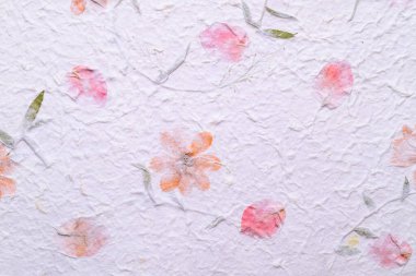 Mulberry paper sheet decorated with dry flower and leaf texture background