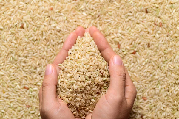 Thai Brown Rice Seeds Hand Organic Rice Local Farmer Market — Stockfoto