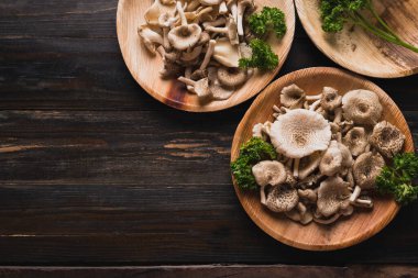 Fresh edible mushroom (Lentinus squarrosulus) in natural plate on wooden background, Organic food ingredients in seasonal, Table top view