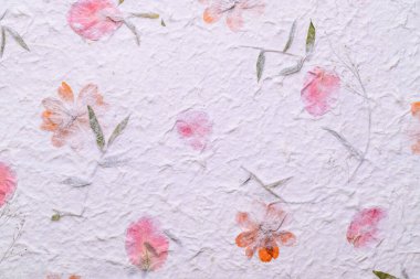 Mulberry paper sheet decorated with dry flower and leaf texture background