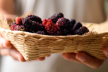 Sepette taze dut meyvesi, elinde sağlıklı tropik meyve.
