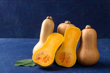 Mavi arka planda kabak ya da balkabağı.