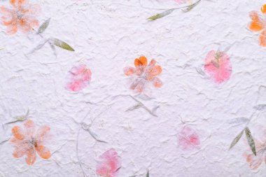 Mulberry paper sheet decorated with dry flower and leaf texture background