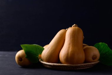 Siyah arka planda tereyağlı kabak ya da balkabağı, sonbahar mevsiminde sebzeler