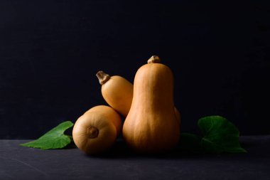 Siyah arka planda tereyağlı kabak ya da balkabağı, sonbahar mevsiminde sebzeler