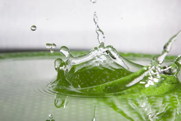 Green Water Drop — Stock Photo, Image