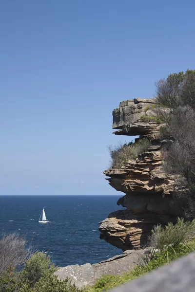 Saling in watsons bay - sydney — Stockfoto