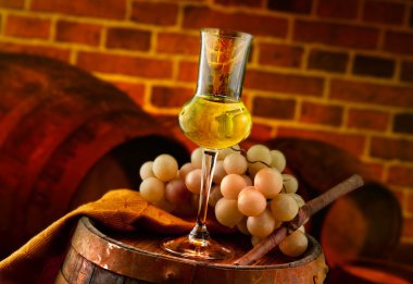 gözlük Grappa