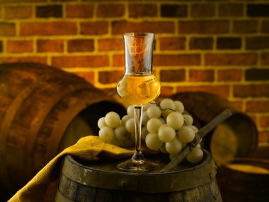 gözlük Grappa