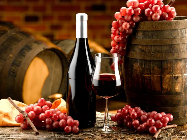 Glasses of red wine in wine cellar — Stock Photo, Image