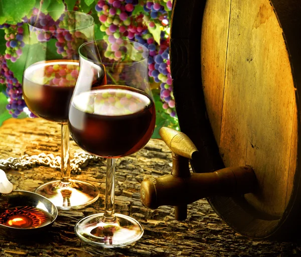 Glasses of red wine in wine cellar — Stock Photo, Image