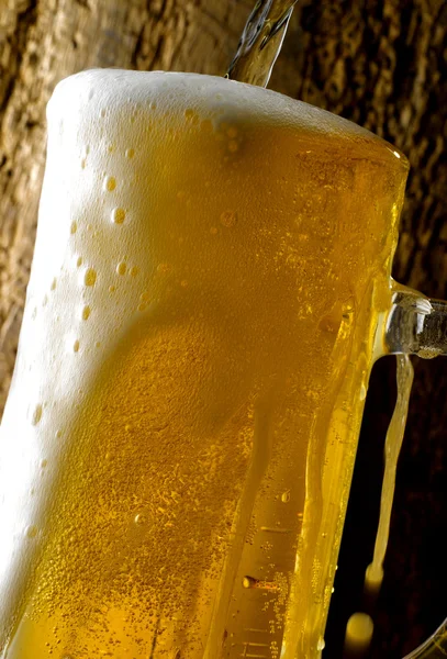 Mug of beer — Stock Photo, Image