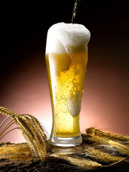 Mug of beer — Stock Photo, Image