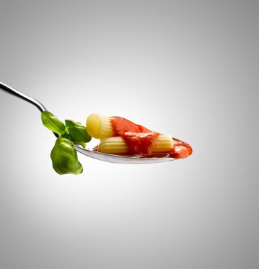 Fesleğen sosu makarna ve domates