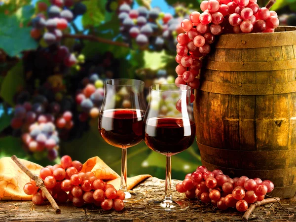 Wine — Stock Photo, Image