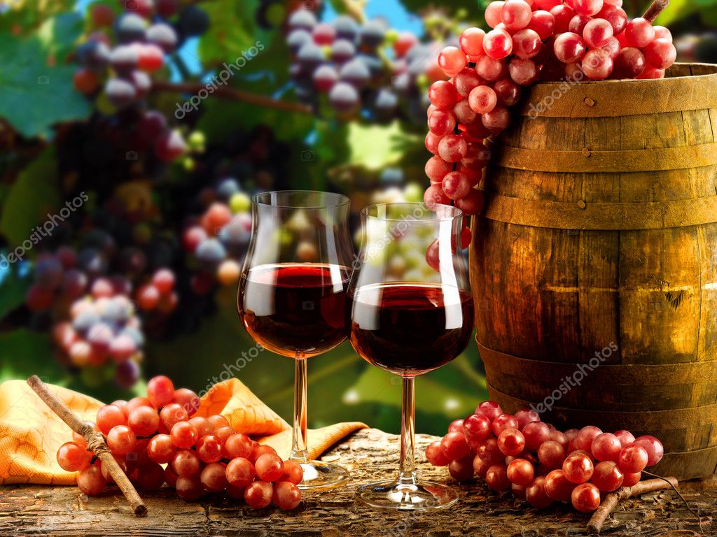 Wine Stock Photo by ©EcoPimStudio 43149487